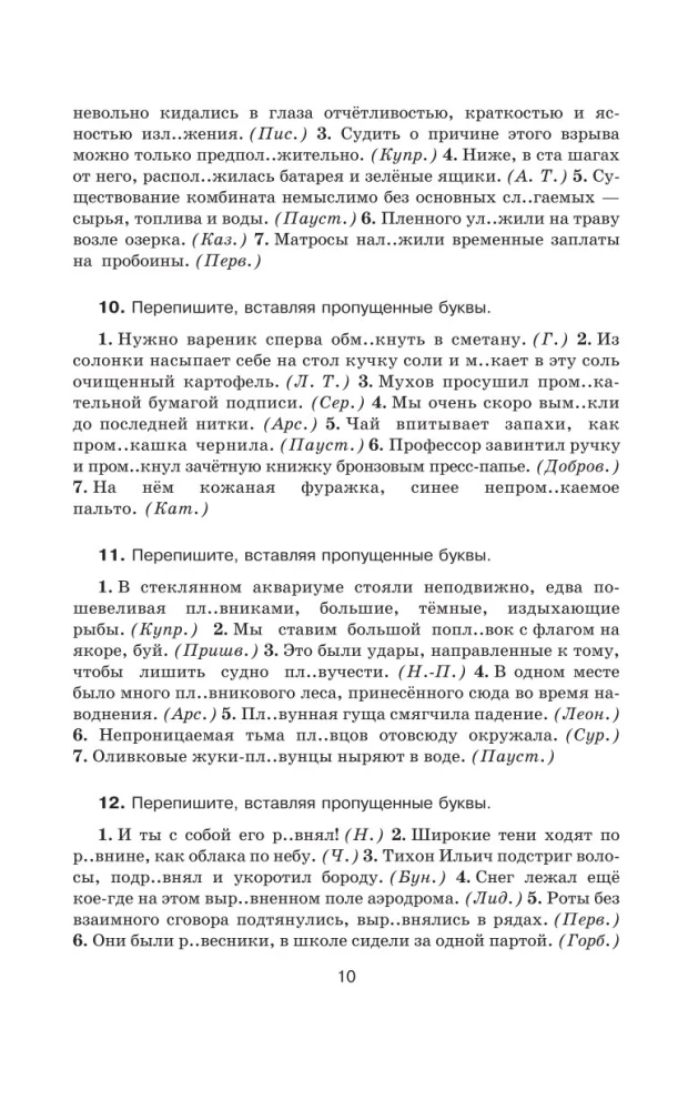 Практикум по русскому языку для старшеклассников и абитуриентов